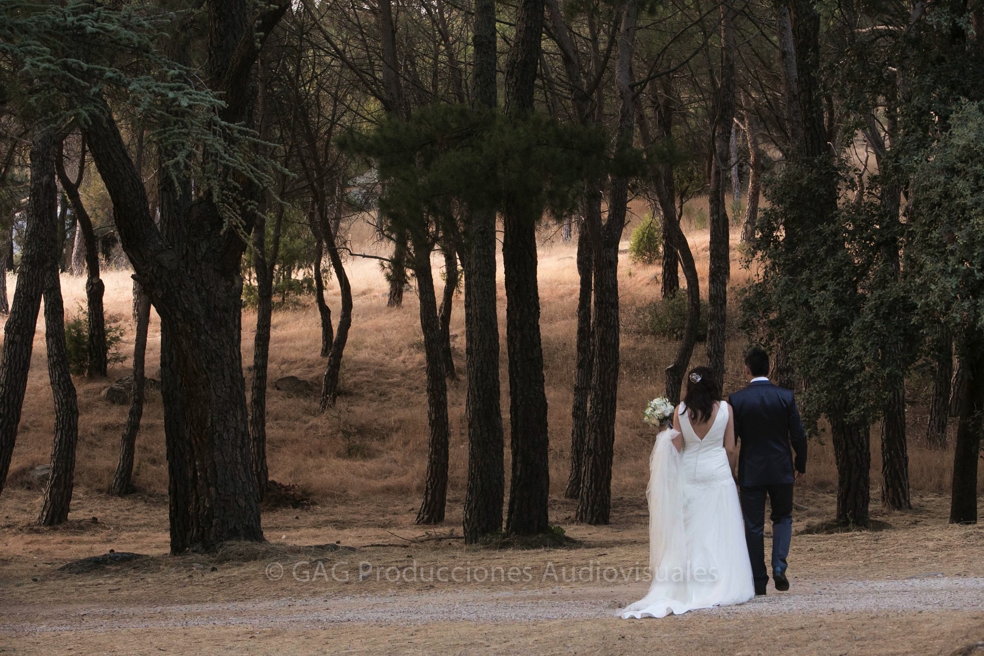 Fotos Boda Fuentepizarro R&D (GAG) 50